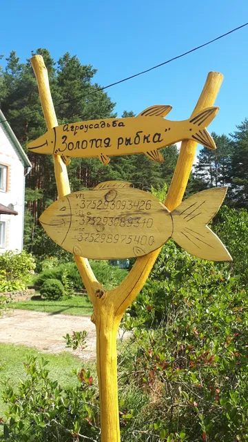 Usadba Zolotaya Rybka