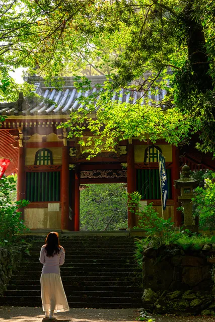 太江寺宿坊ホステル