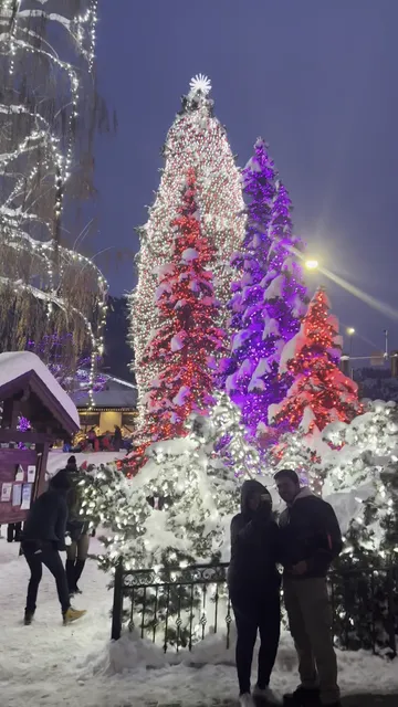 Christmas Lights