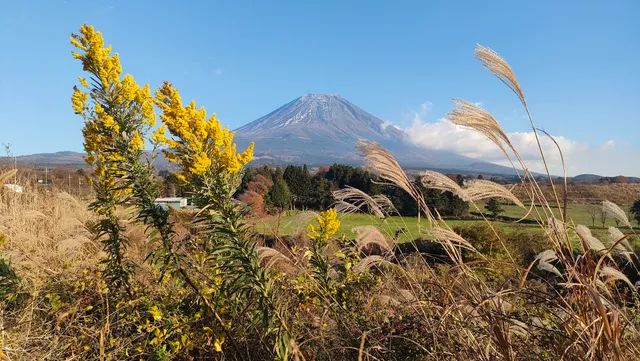 山梨県 JA富士ヶ嶺高原