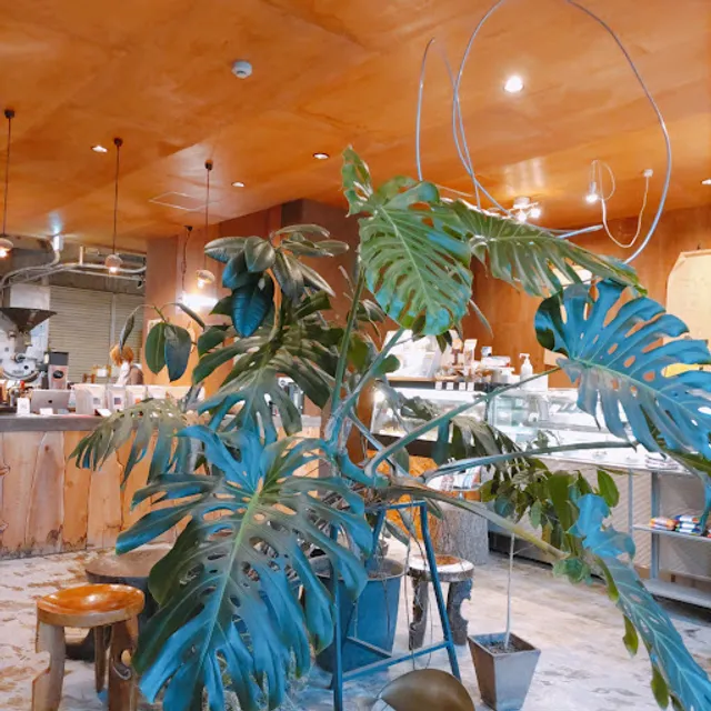 COFFEE COUNTY Kurume