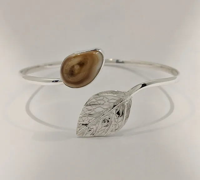 Rocky Mountain Ivory