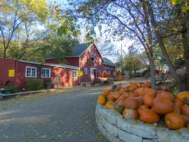 Vala's Pumpkin Patch & Apple Orchard