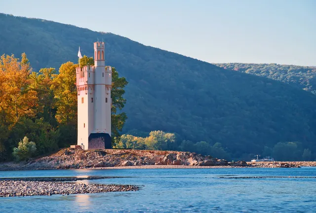 Apartment near the Rhine