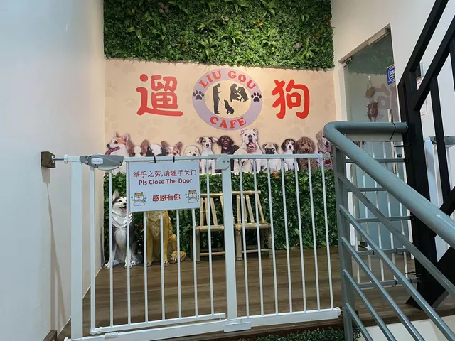 LIU GOU CAFE ¥¥溜狗咖啡馆与狗狗寄宿服务¥¥