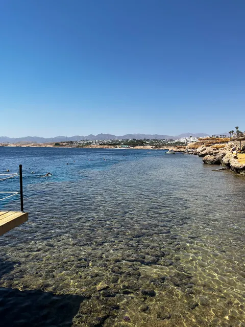 Reef Oasis Hotels & Resorts