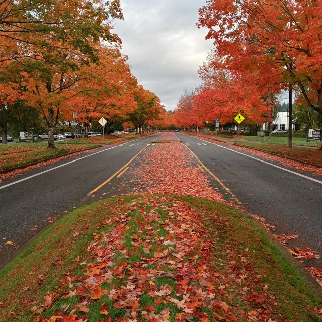 Bothell Business Park