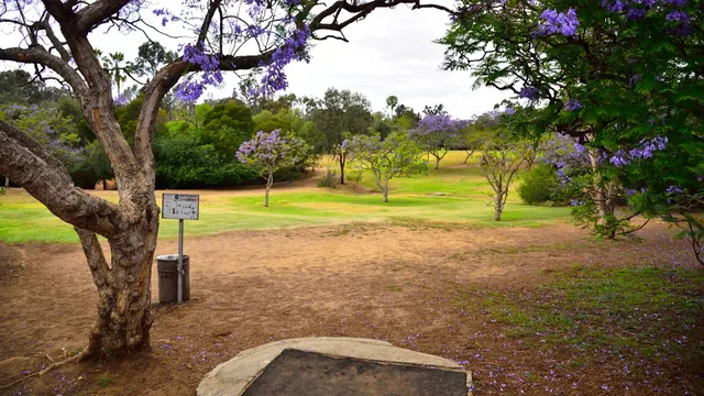 Morley Field Disc Golf Course
