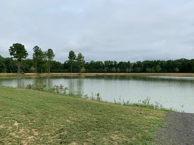 Beebe Community Pond