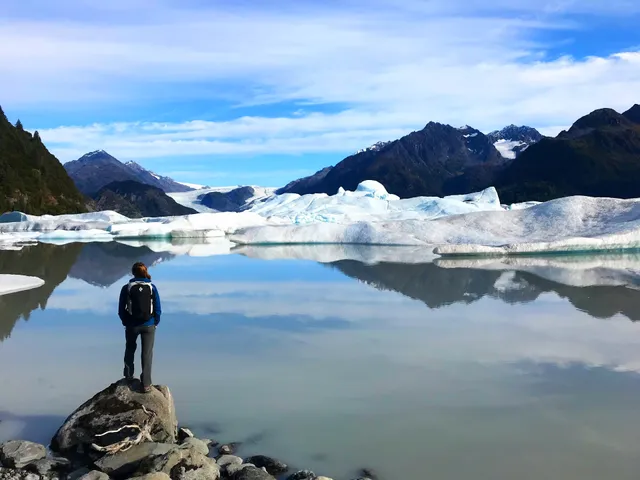 Seward Wilderness Collective