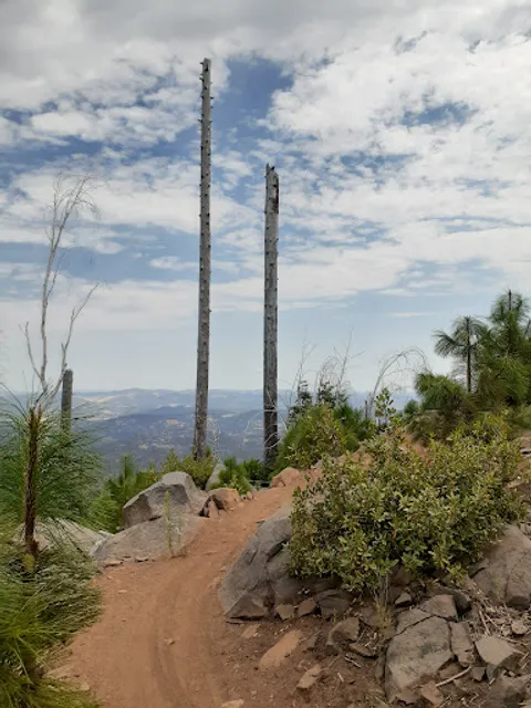 Boggs Mountain Demonstration State Forest