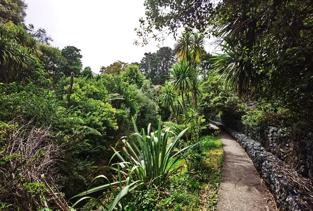 Oakley Creek Walkway