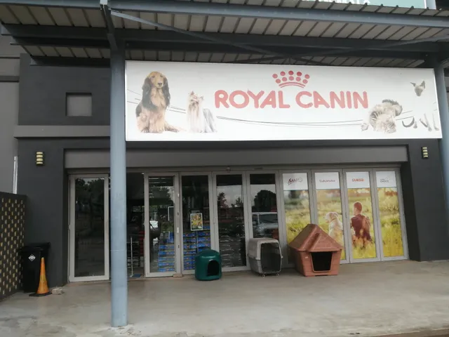 The Queen Pet Shop - Wingtip Crossing