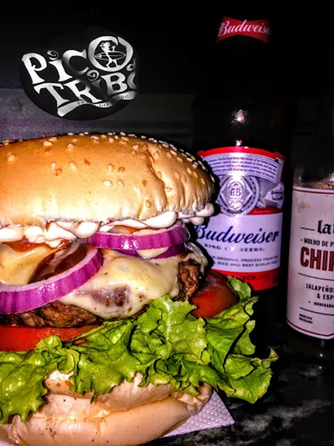 picodatriboburguers