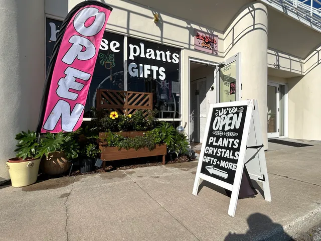 Salt Your Soul Gift Co.