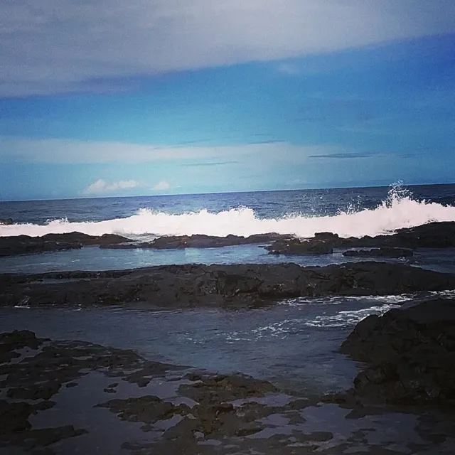 Hilo Shangrila Vacation Rental