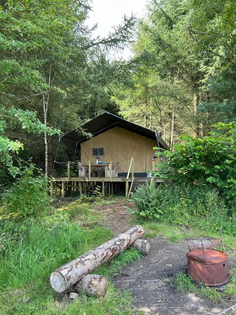 Ruberslaw Wild Woods Camping & Glamping