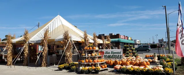 Way Farms Waverly Market