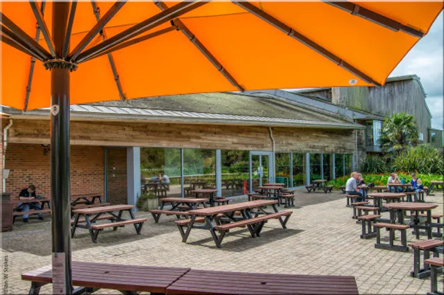 The Kingfisher Kitchen