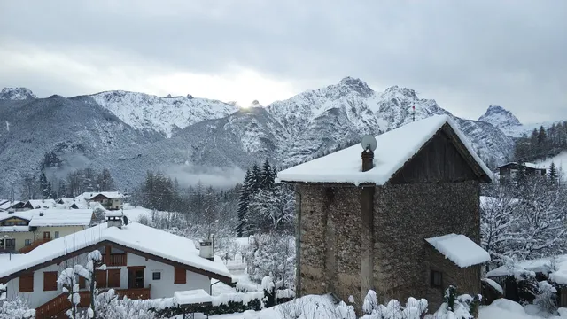 Inspiteofeverything / Nonostantetutto