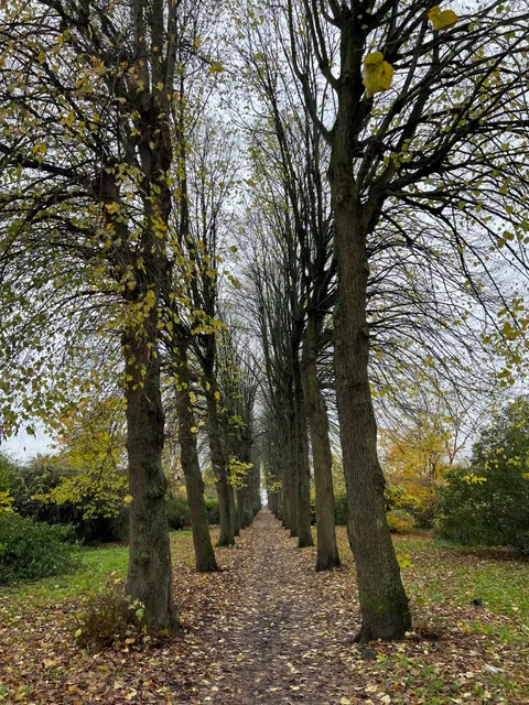 Chapelle d'Elocques Garden