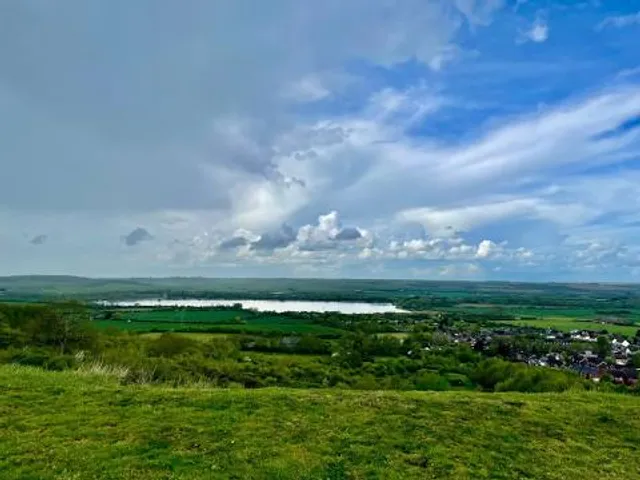 Forest of Marston Vale
