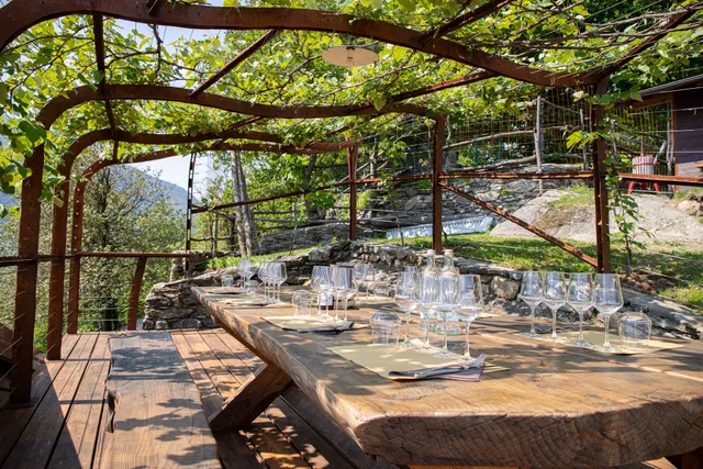 Azienda Agricola Del Risti