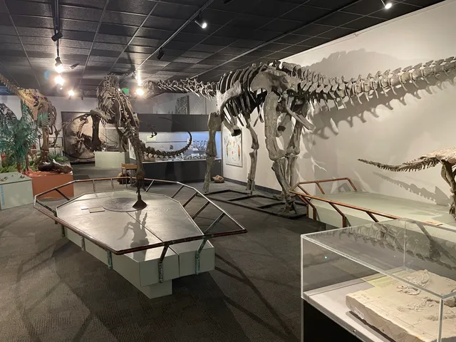 BYU Museum of Paleontology