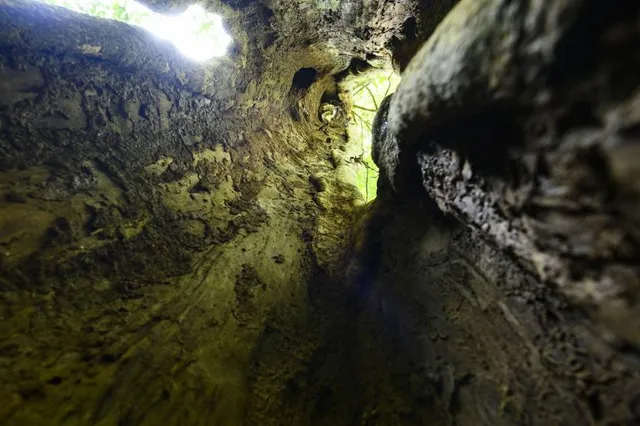 Taman Negara National Park