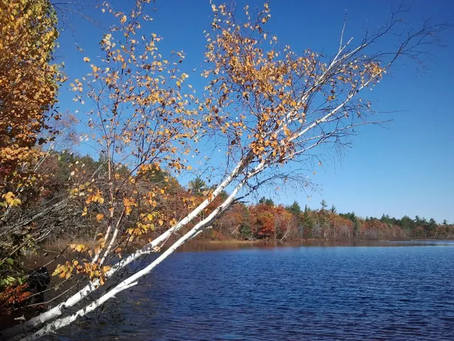 Wycamp Lake