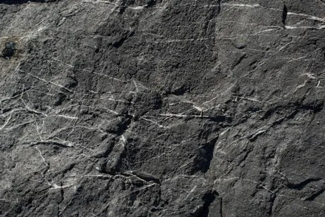 Khakassia National Museum