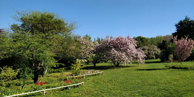 Buda Arboretum