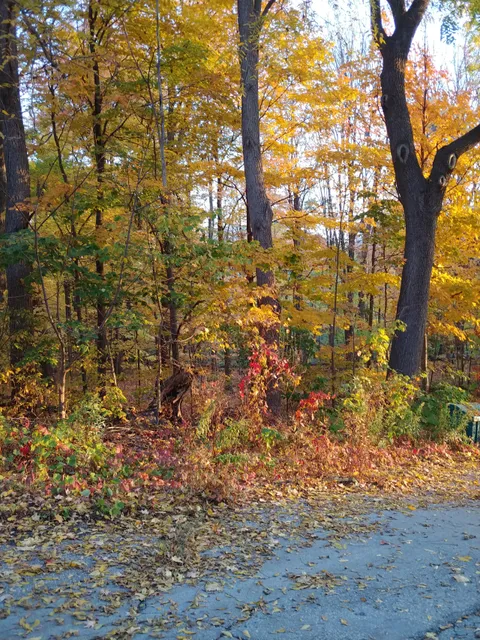 Forest Valley Outdoor Education Center