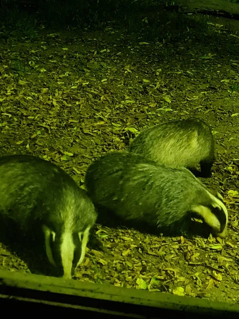 Tewin Orchard Nature Reserve