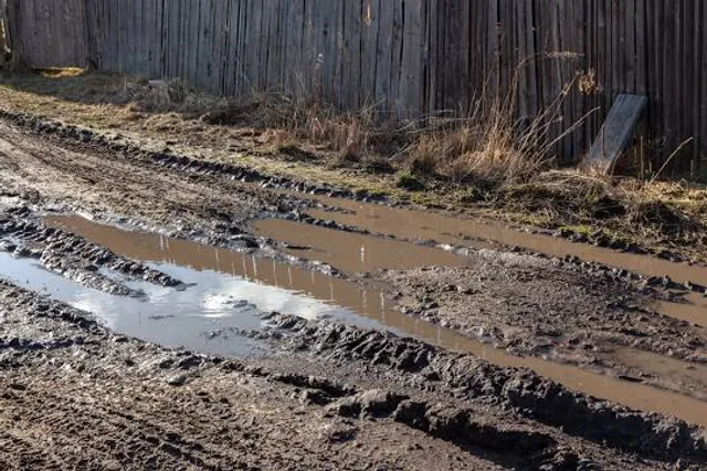 Nesbit Park - Stanky Creek Trails