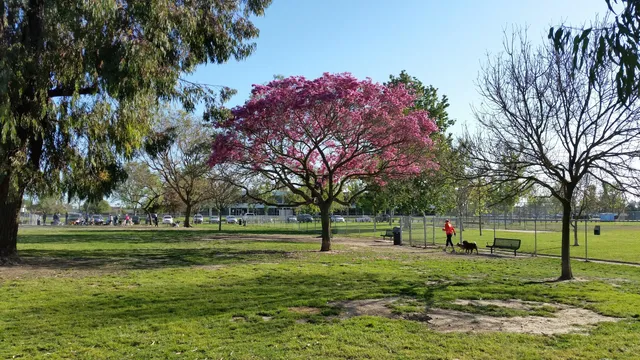 Arbor Dog Park