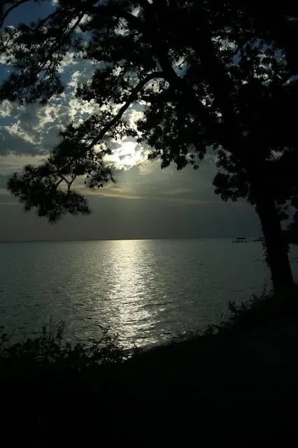 The Mariners' Museum and Park