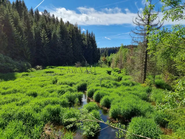 Haidmühle - Bischofsreut - Frauenberg
