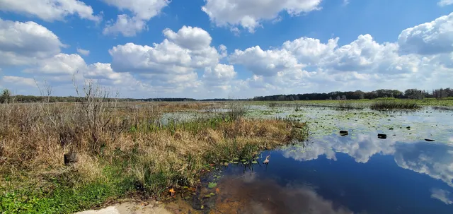 Crews Lake Wilderness Park