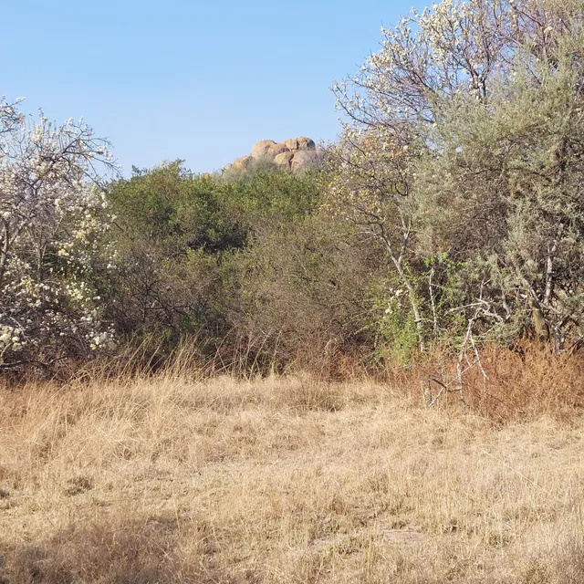 Norscot Koppies Nature Reserve