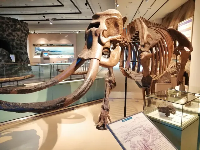 Kashiwazaki City Museum