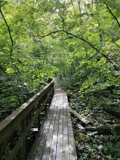 Salevere Salumäe matkarada