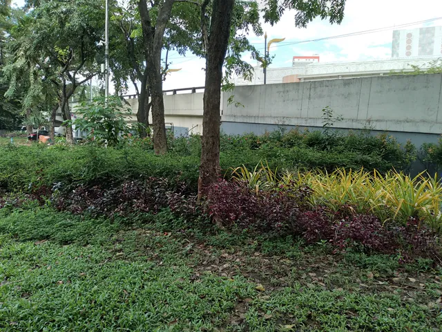 Manila Hidden Garden