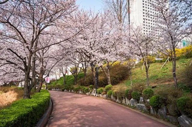 photo-2