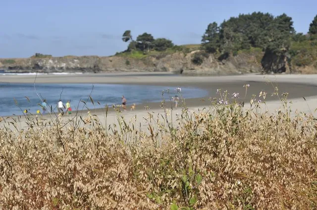Big River Beach at Mendocino Headlands State Park