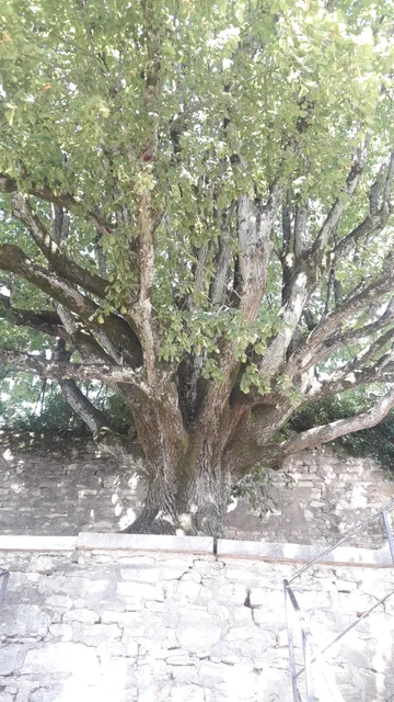 Association Dole Environnement