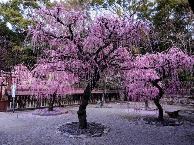 Yūki Shrine