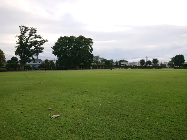 Fujioka Central Park