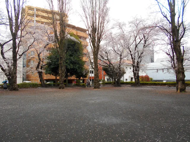 Tamadaira Dai 7 Park