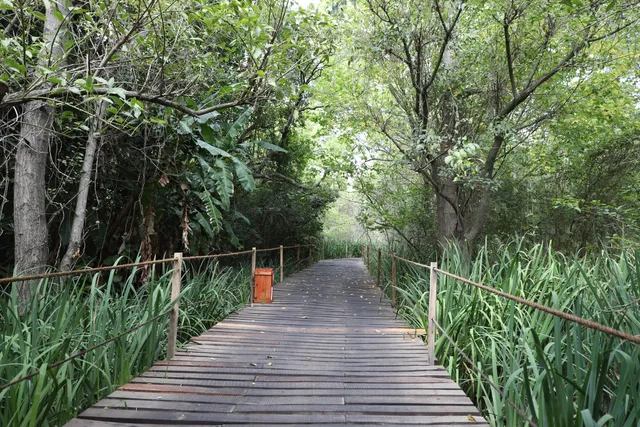 Reserva Costera Municipal de Avellaneda, Eco Área